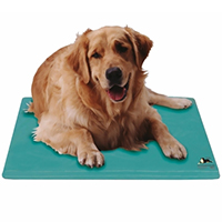 Viva La Dog Spa Petite Puppy Dog Shampoo