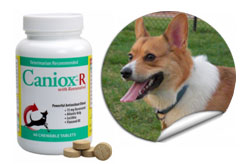 Caniox-R Antioxidant Tablets