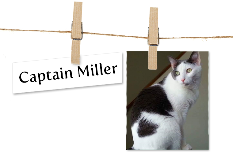 Pet of the Week