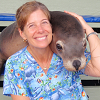 Carol Corlitz