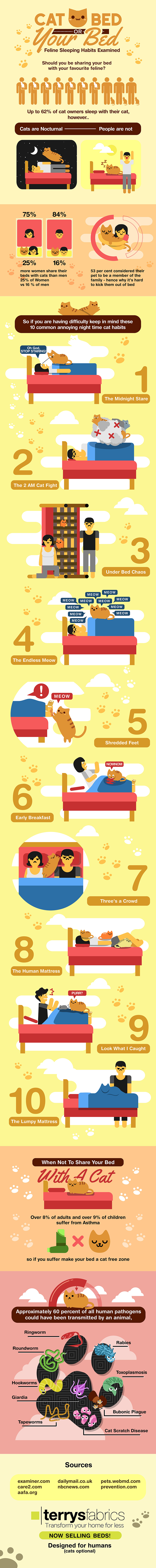 Should cats sleep in your bed? - infographic