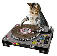 Cat DJ Scratcher