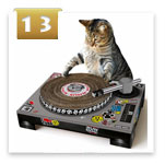 Cat DJ Scratching Deck