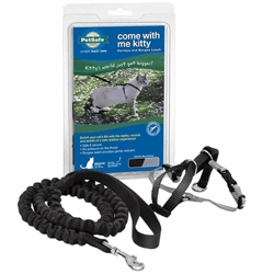 Come with Me Kitty Harness & Bungee Leash