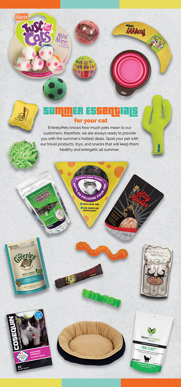 Top 10 Places to Take Your Pet on the West Coast