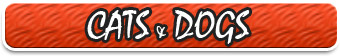 Cats & Dogs
