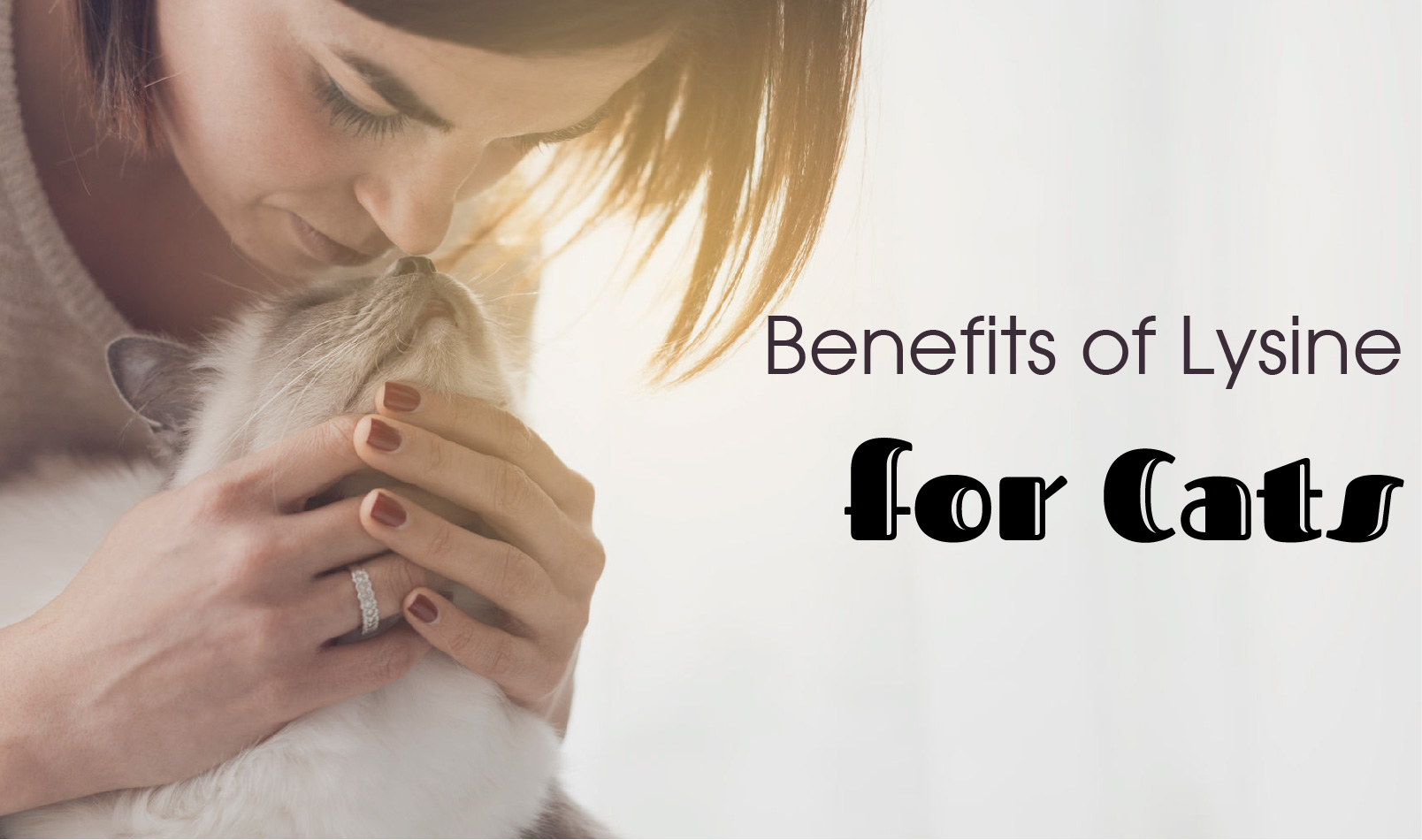 The Benefits of Lysine for Cats (And Why It's Necessary) EntirelyPets