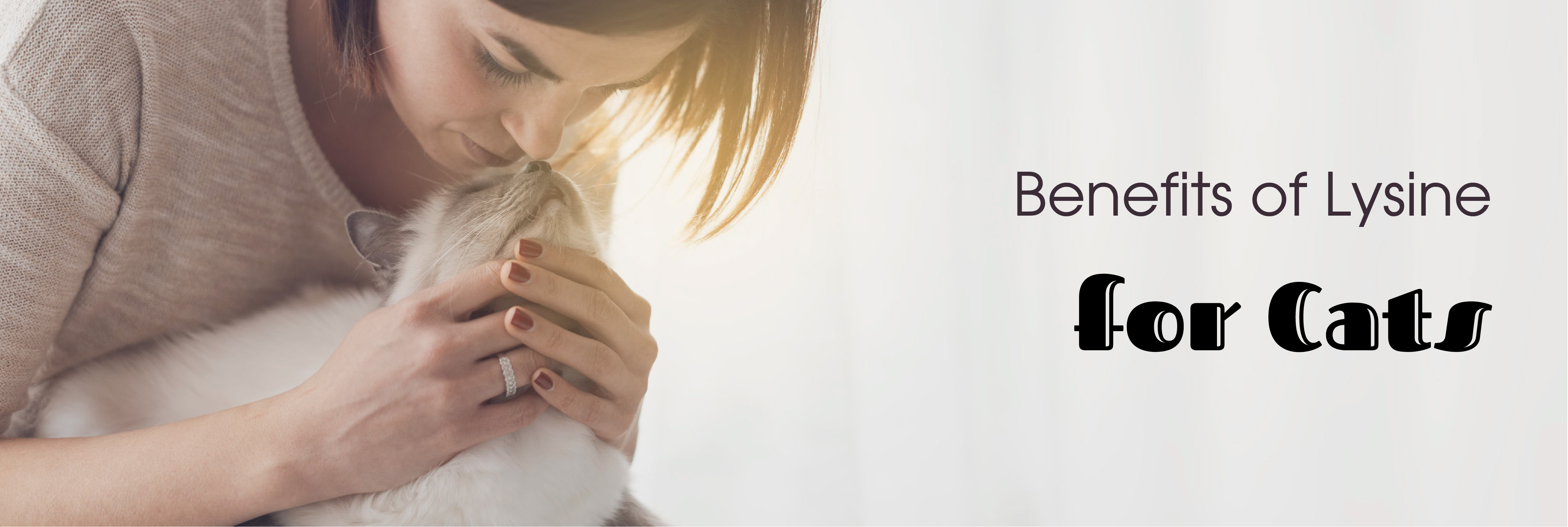 The Benefits of Lysine for Cats (And Why It's Necessary) EntirelyPets