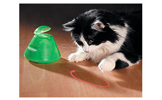 Teach Your Pet a Trick