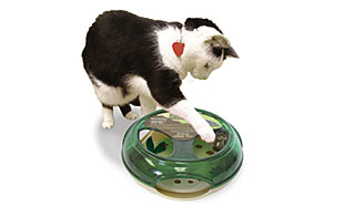 Teach Your Pet a Trick