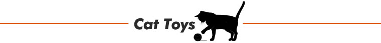 Cat Toys
