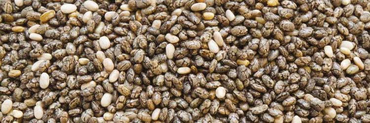 Supplements for pets with hip and joint problems