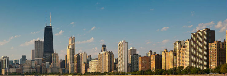 Canine Flu Epidemic Chicago 2015