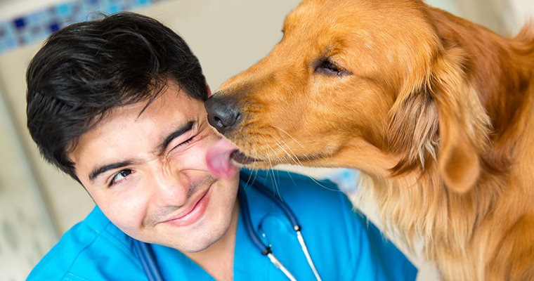 A image of a dog licking a doctor's face