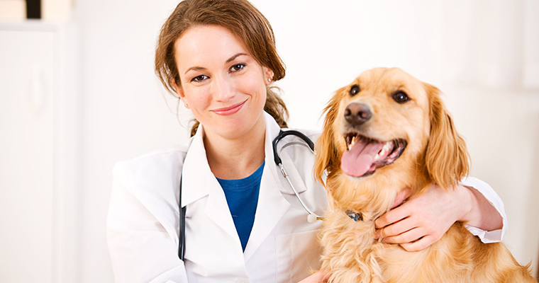 A image of a hamster