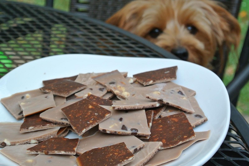 Christmas Carob Bark Recipe