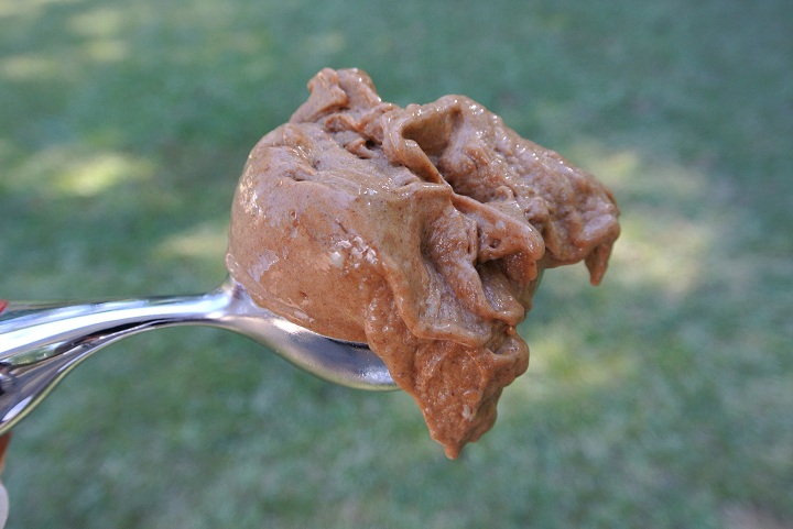 Cinnamon Carob Ice Cream Recipe