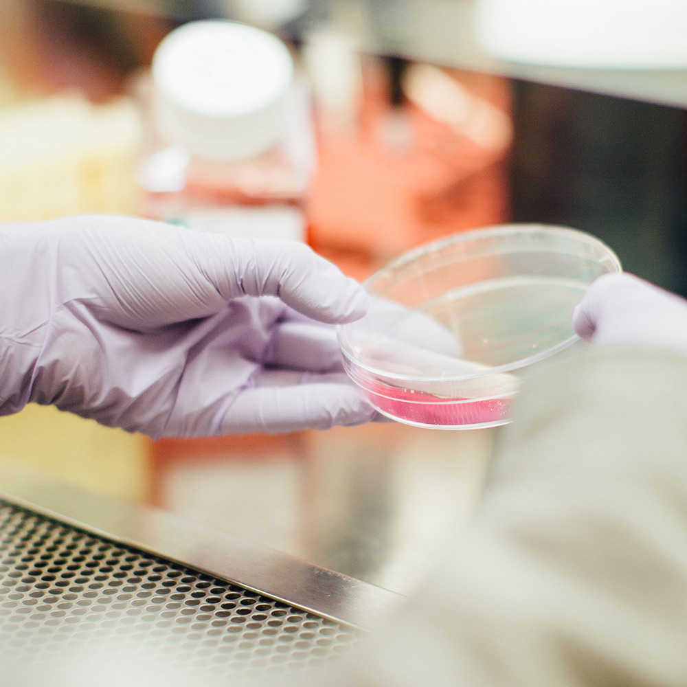 Clinically proven dental care product