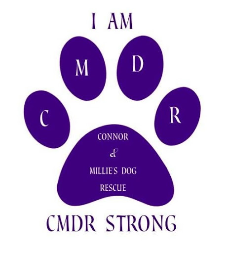 charity-logo