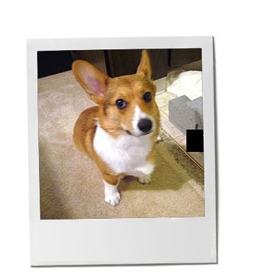 Coby