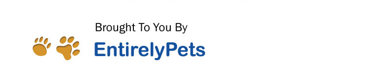 Flea & Tick Product Guide