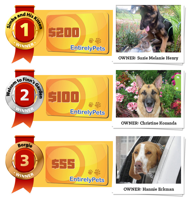 Cute Pet Photo Contest Winners