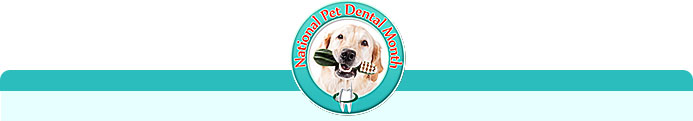 Dental Month