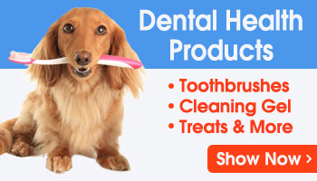 Pet Dental Care