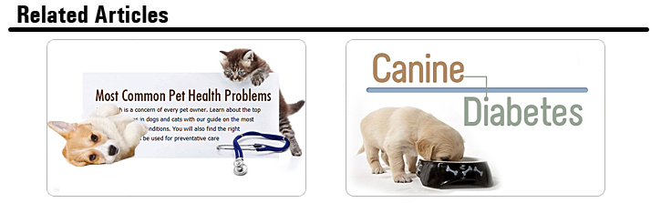 Related Articles
