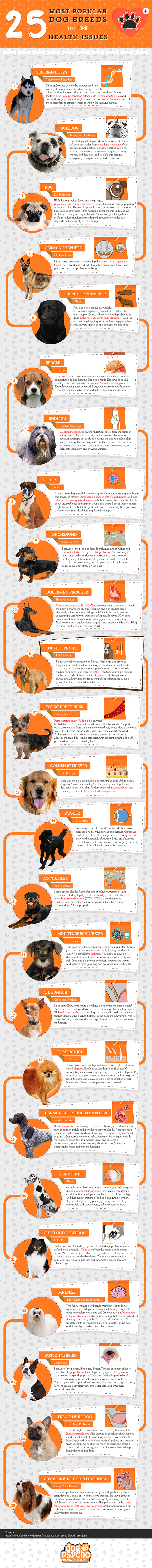 Popular Dog Breeds And Their Health Issues Infographic