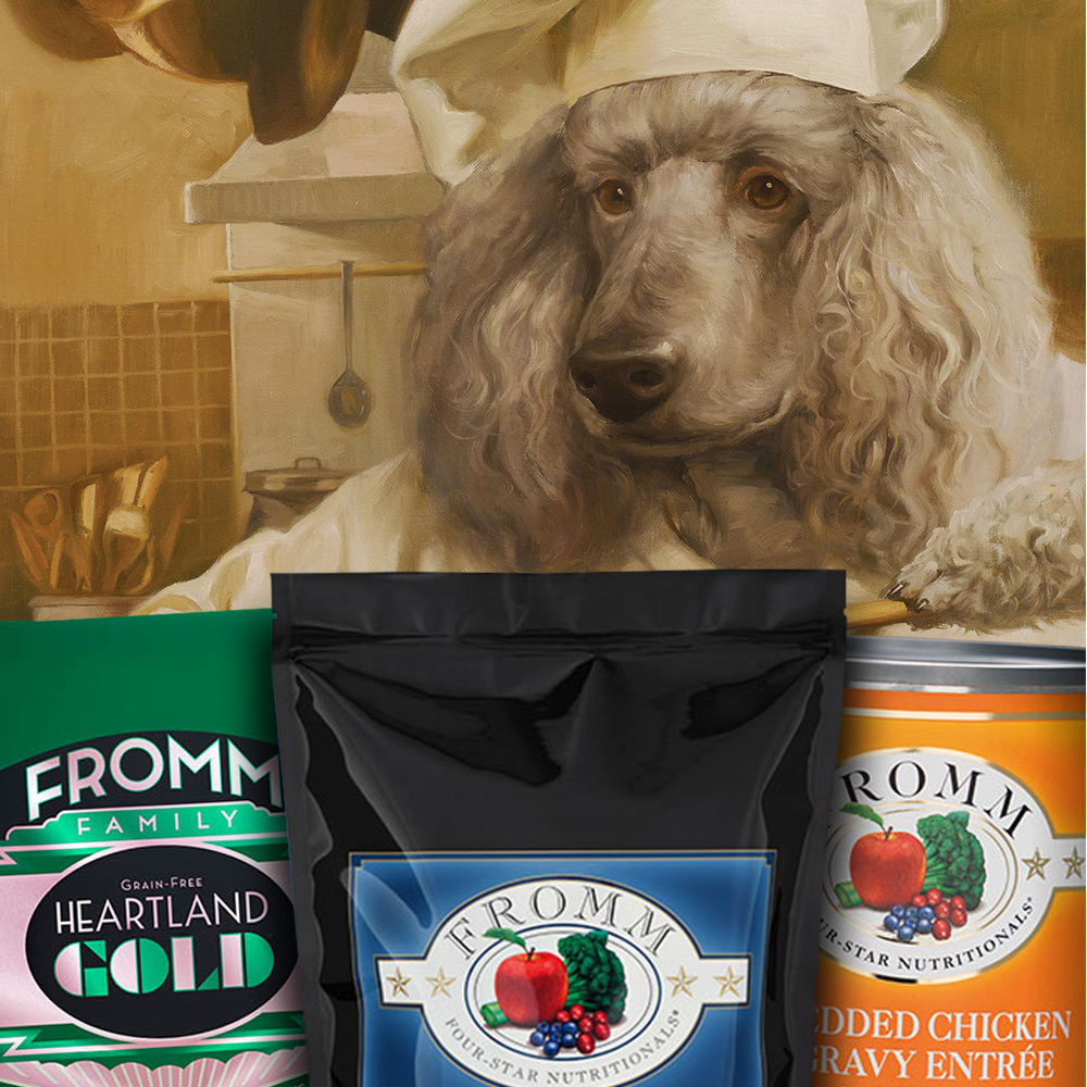 Poodle chef and dog food
