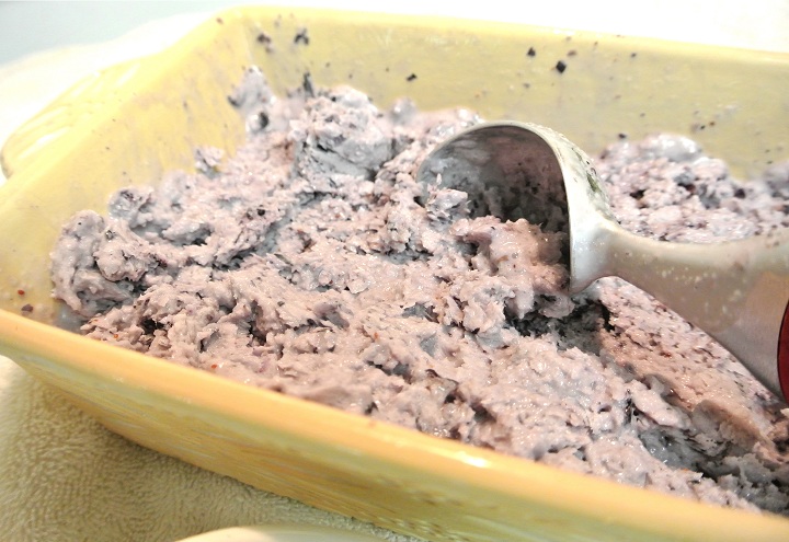 Frosty Freezy Ice Cream Recipe