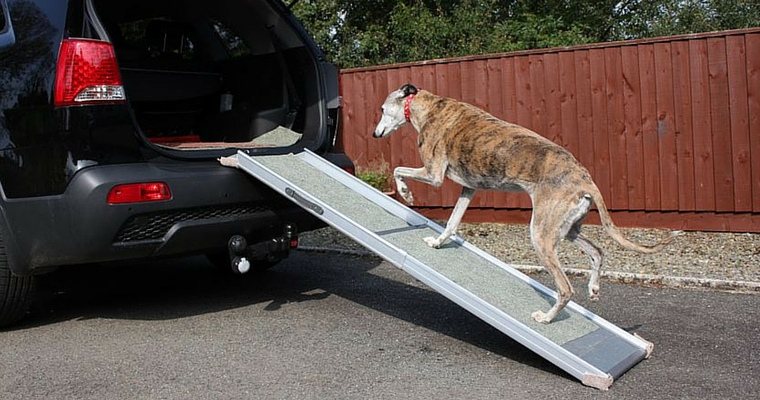 Dog Ramp