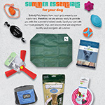 Summer Dog Essentials