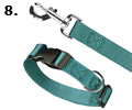 dogcollar