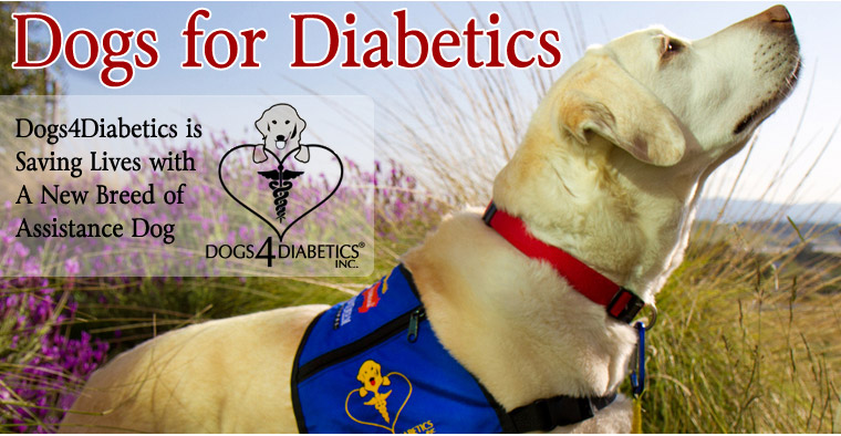 Dogs for Diabetics