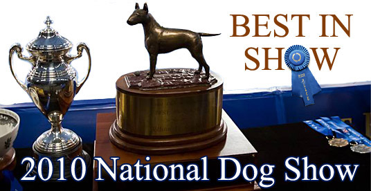 National Dog Show 2010