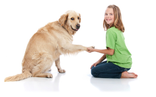 Teach Your Pet a Trick