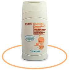 Douxo Maintenance for Dogs & Cats