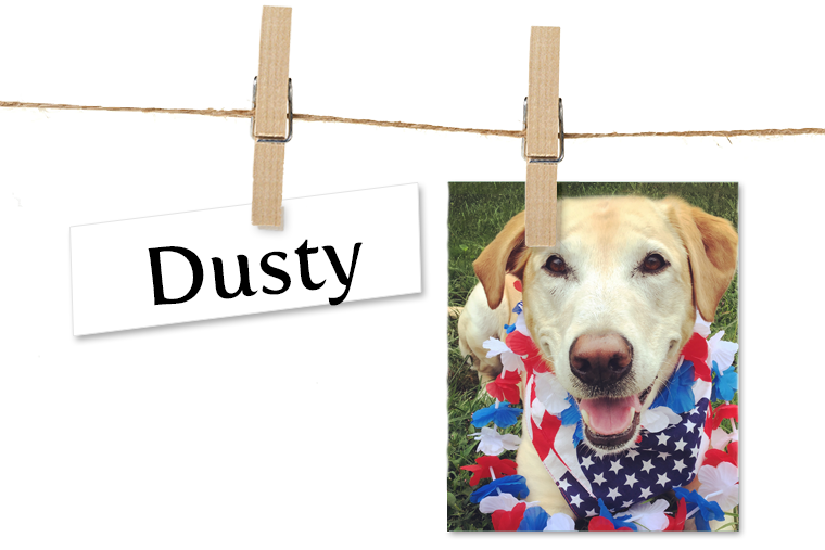 Pet of the Week