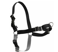 Easy Walk Harness