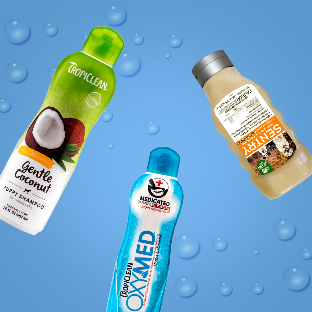 shampoos