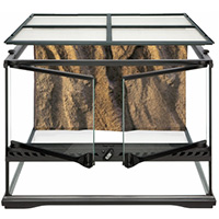 Greenies Feline - SALMON (2.5 oz)