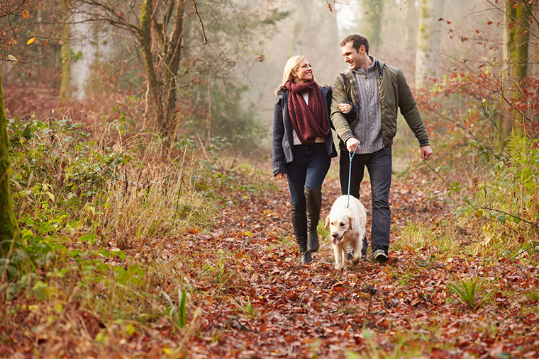 Preparing Your Pet For Fall