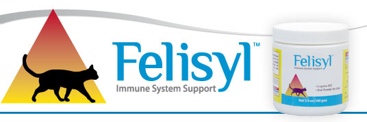 feline herpes