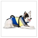 Fido Float Swim Aid
