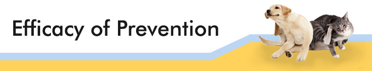 Efficacy of Prevention