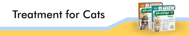 Treatment for Cats