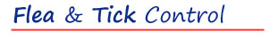 Flea & Tick