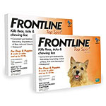 Program Green for Cats